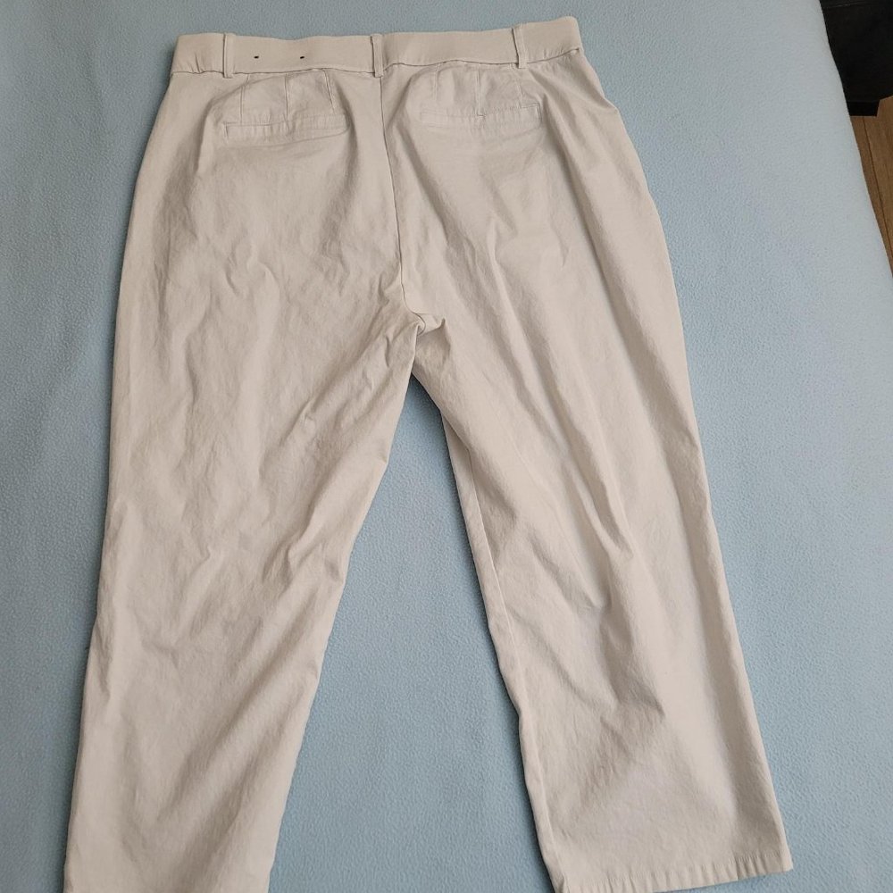 Penningtonn's Curvy Fit pants. Size 20.